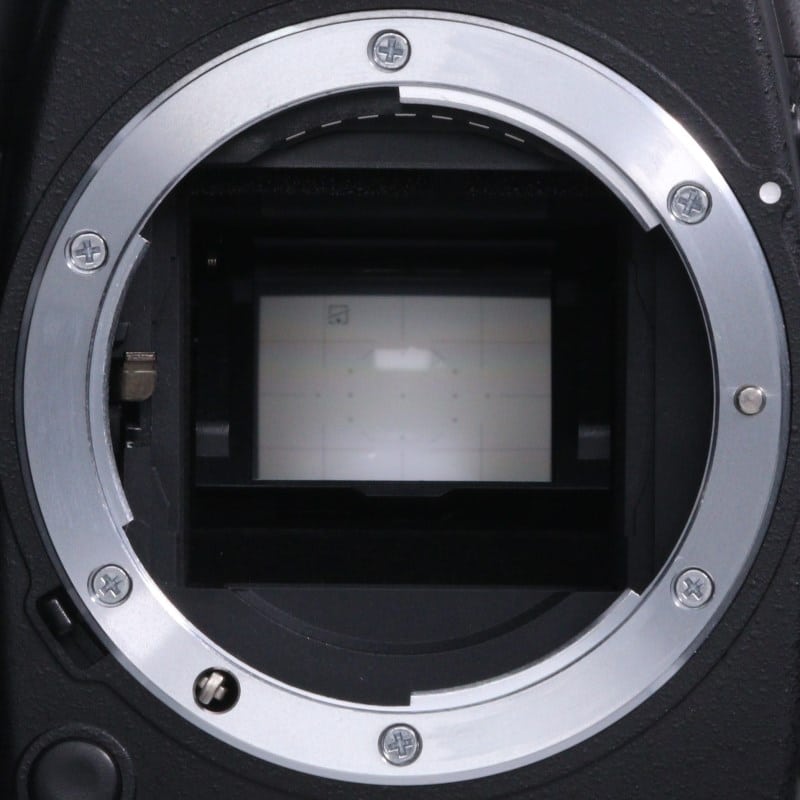 D80 ボディ