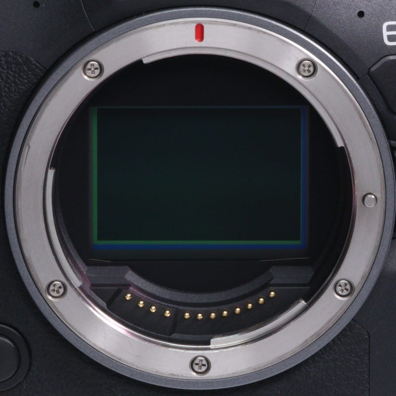 EOS R6 Mark II ボディー