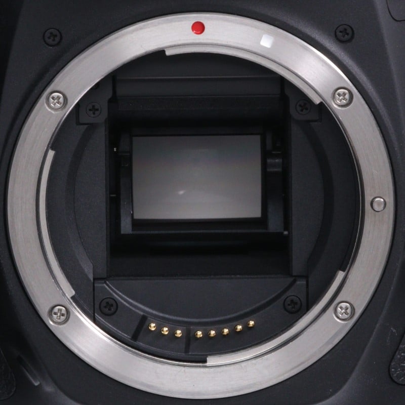 EOS 90D ボディー