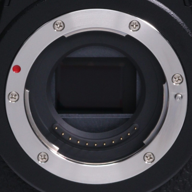 LUMIX G9 PROII ボディ DC-G9M2