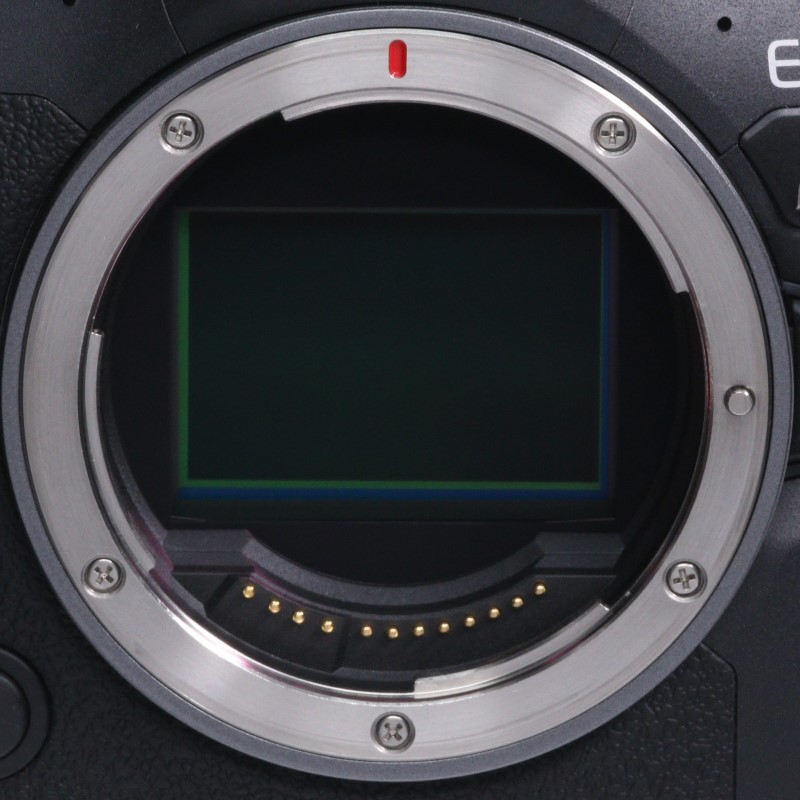 EOS R6 Mark II ボディー