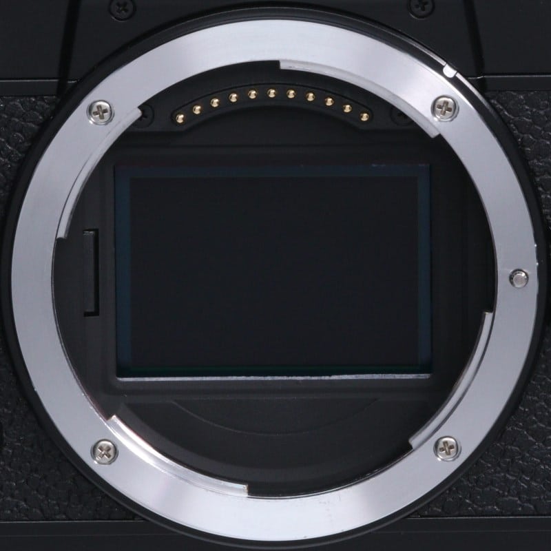 Zf ボディ ブラック