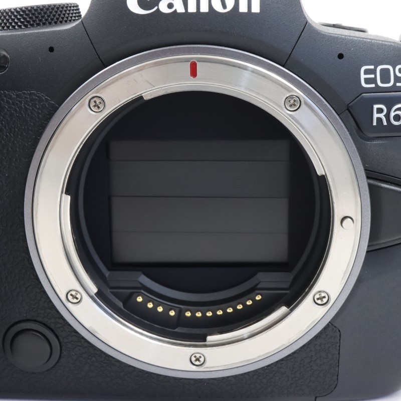 EOS R6