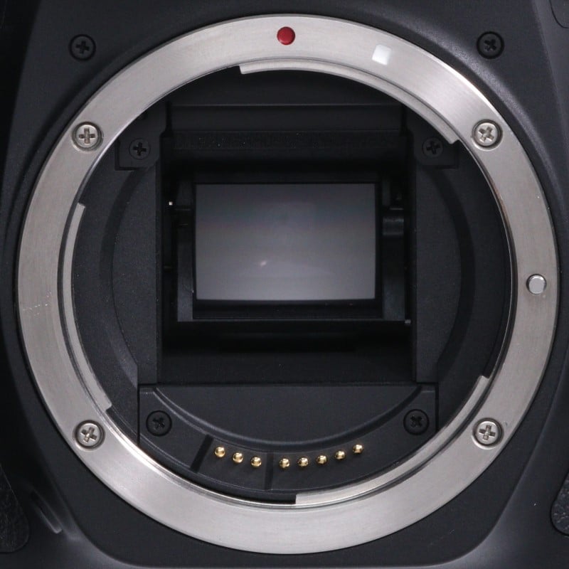 EOS 90D ボディー