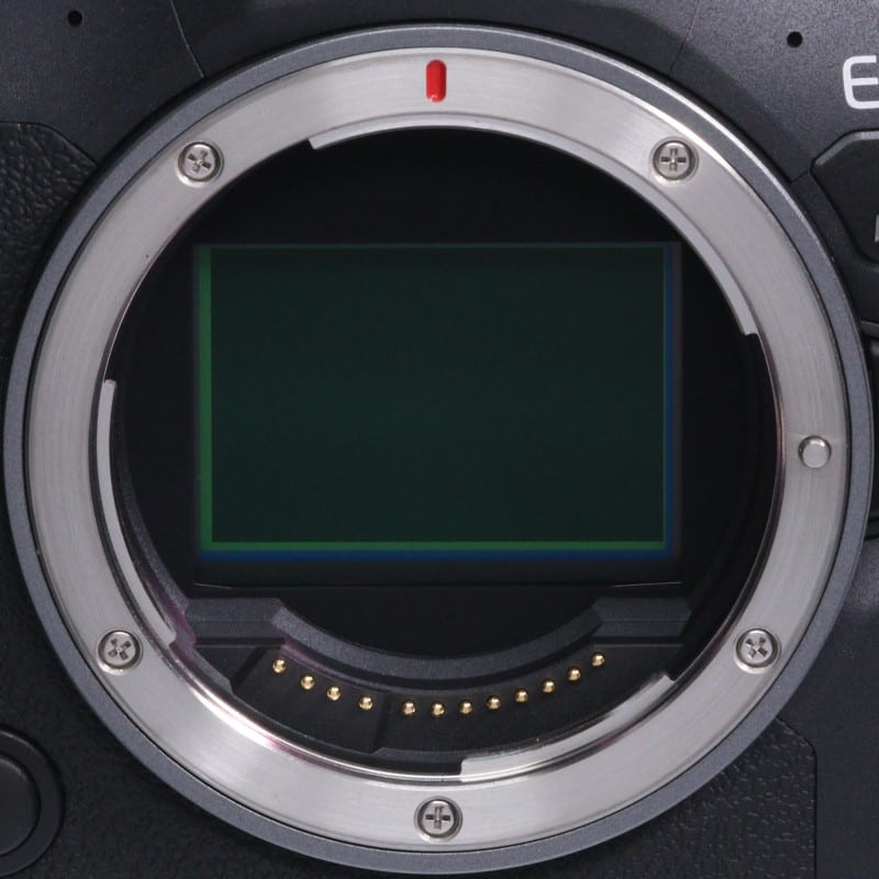 EOS R6 Mark II ボディー