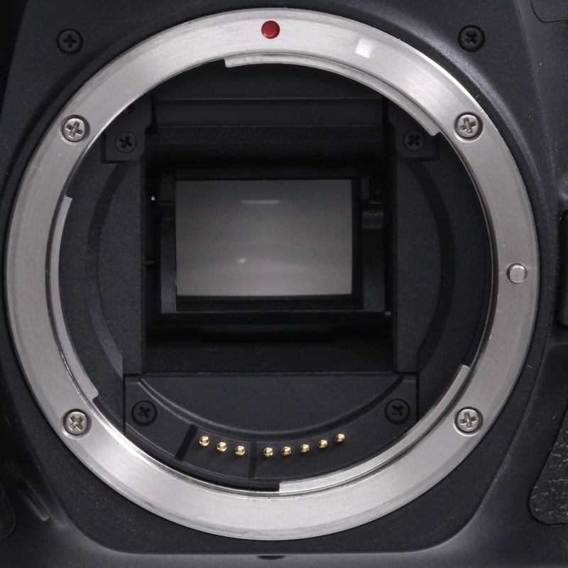 EOS 90D ボディー