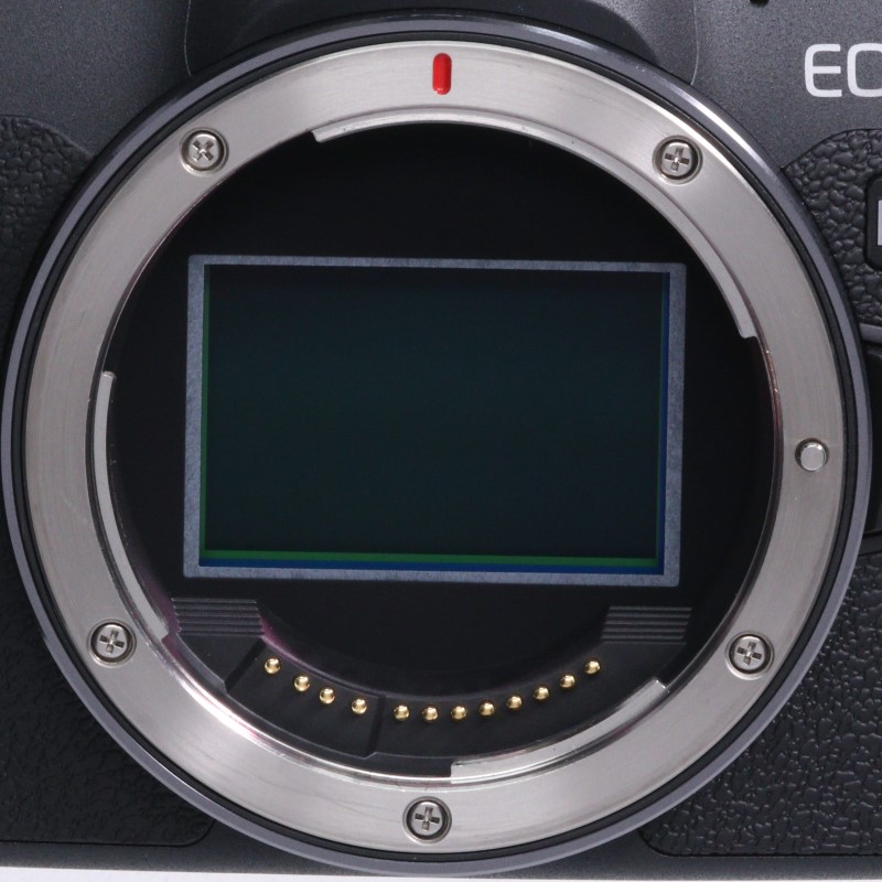 EOS R8