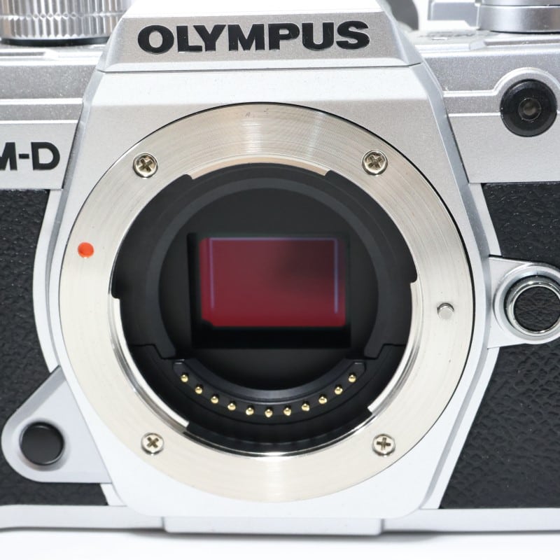 OM-D E-M5 Mark III ボディー シルバー
