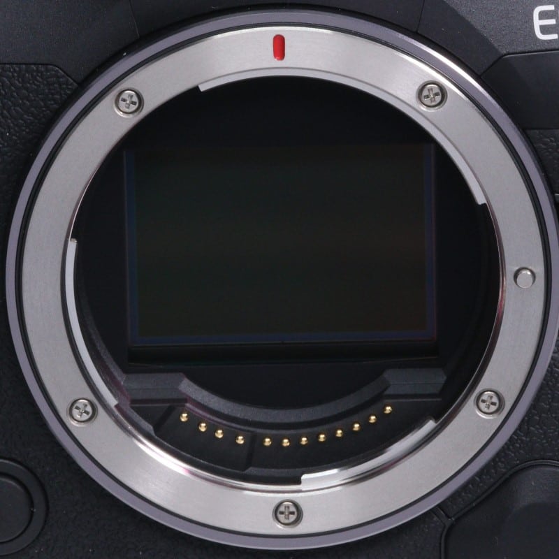 EOS R5 Mark II ボディー