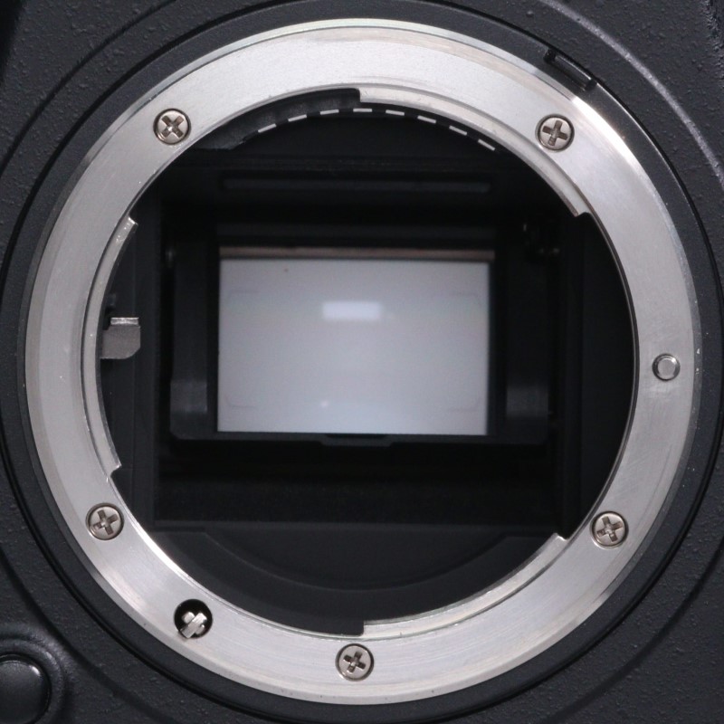 D500 ボディ