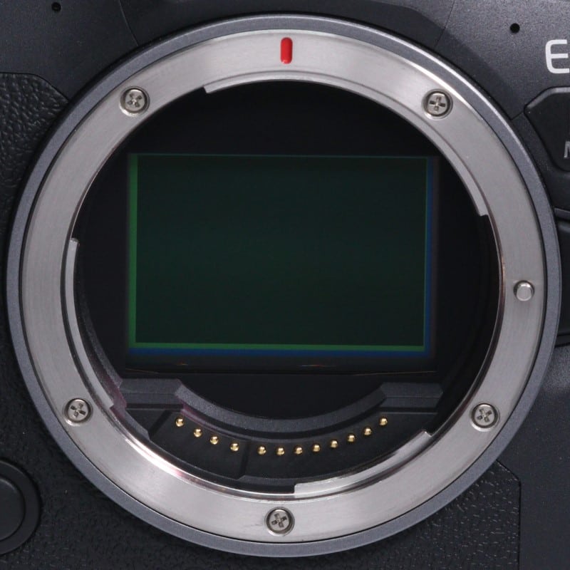 EOS R6 Mark II ボディー