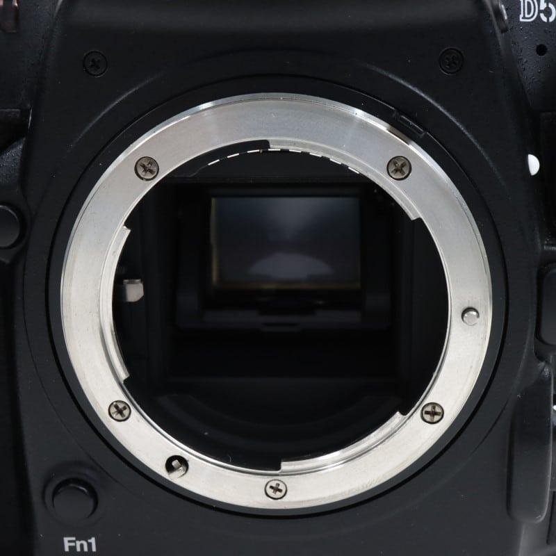 D500 ボディ