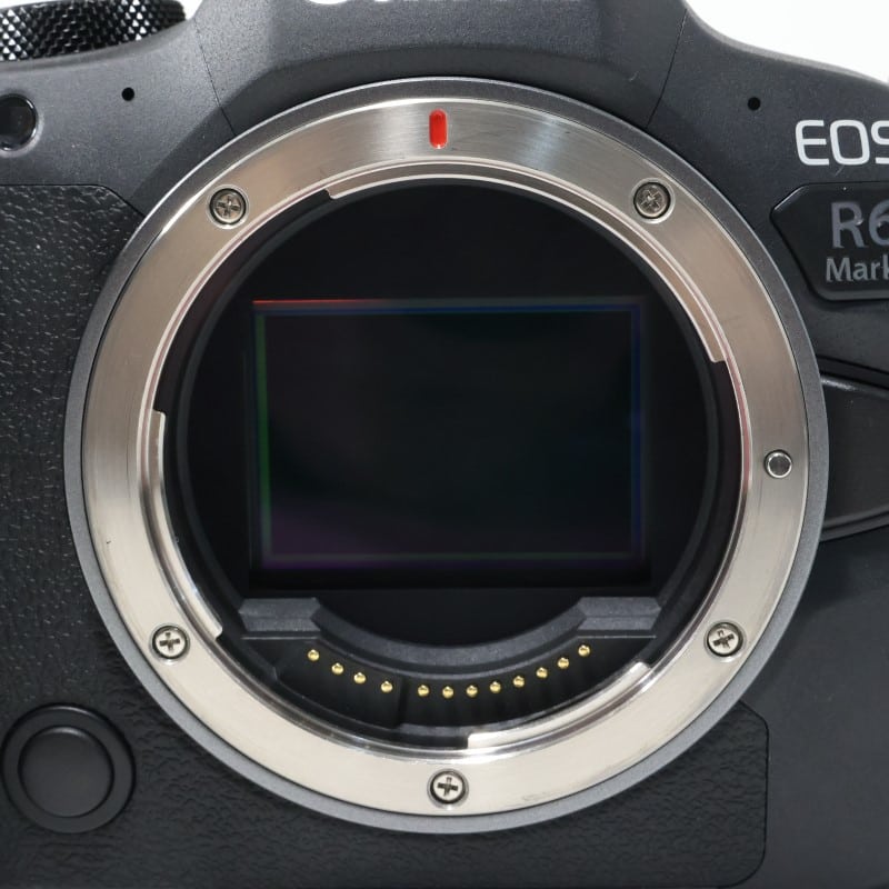 EOS R6 Mark II ボディー