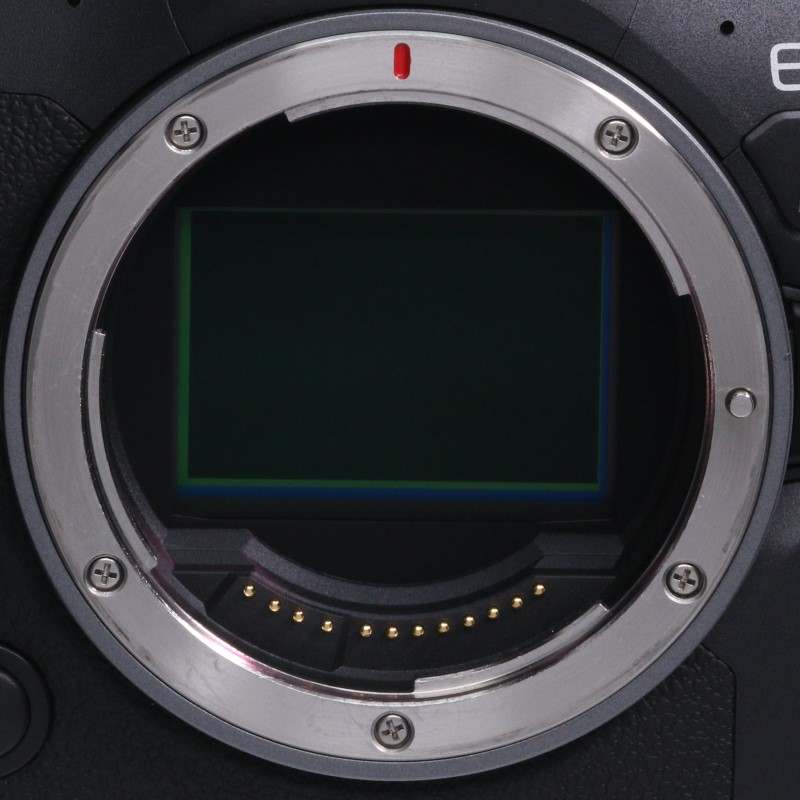 EOS R6 Mark II ボディー