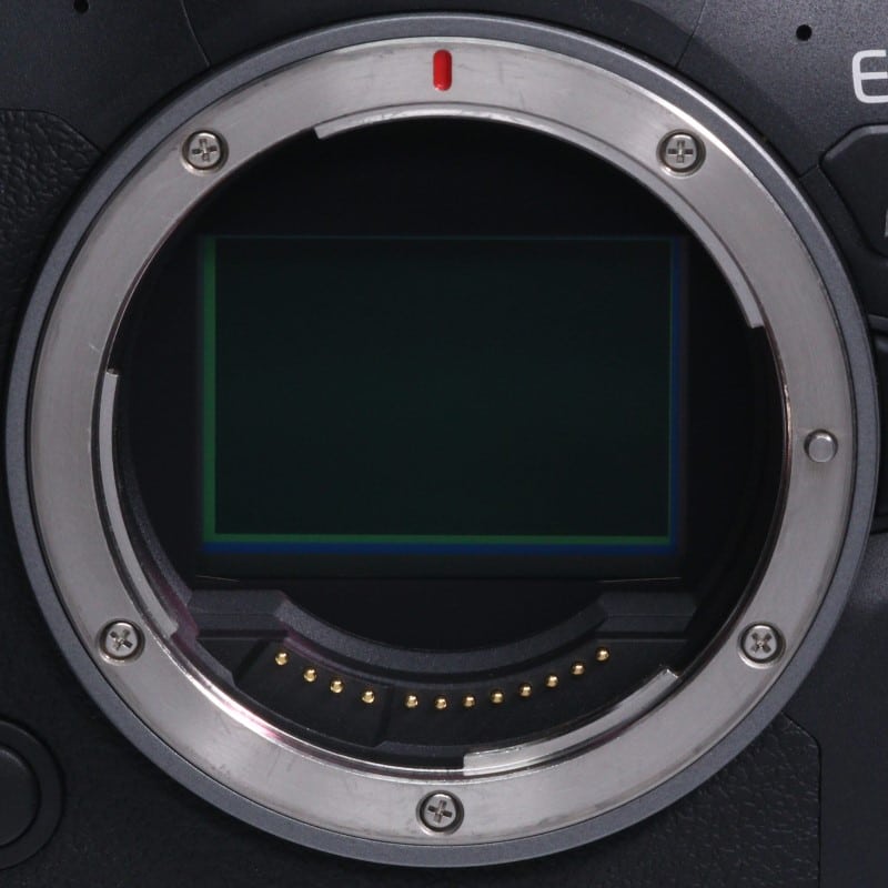 EOS R6 Mark II ボディー