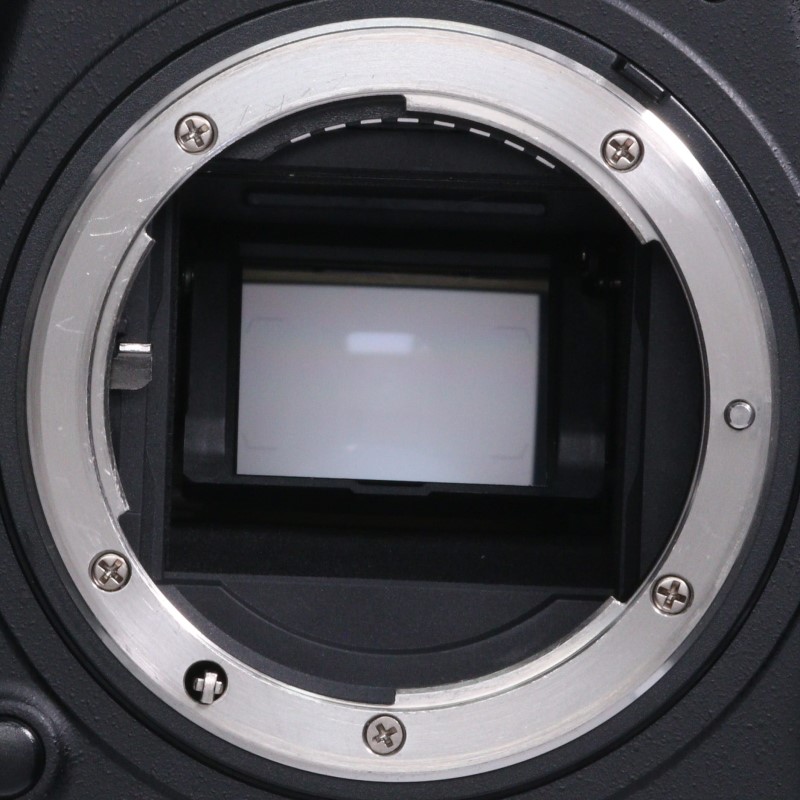 D500 ボディ