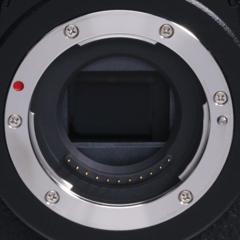 LUMIX G9 PROII ボディ DC-G9M2
