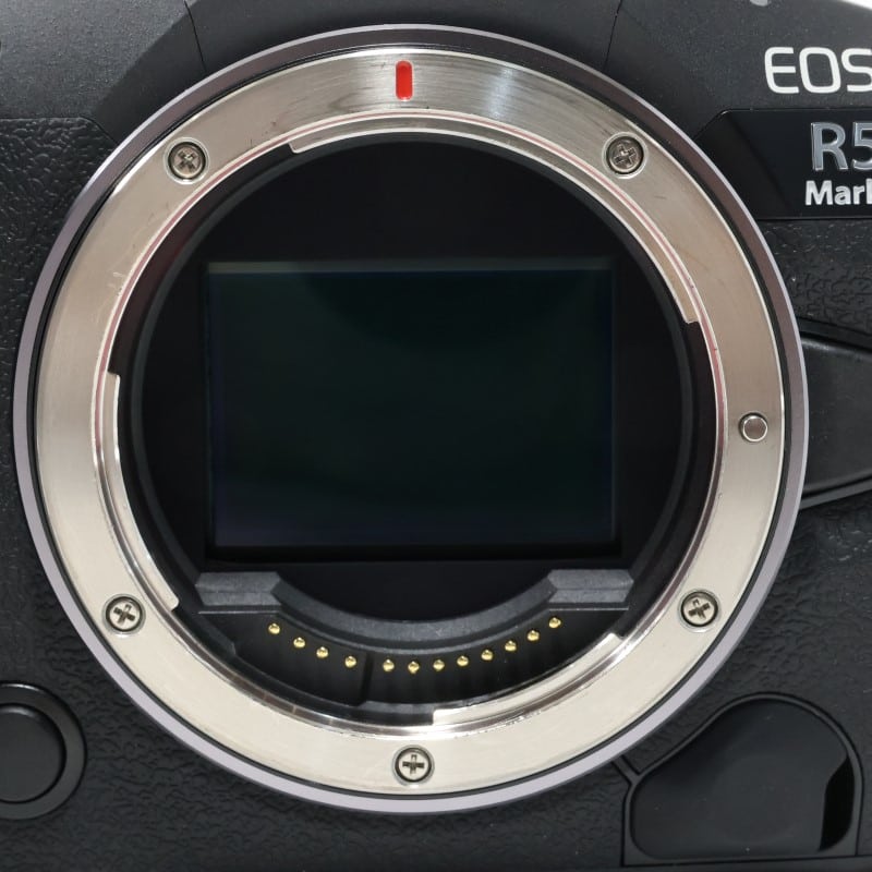 EOS R5 Mark II ボディー