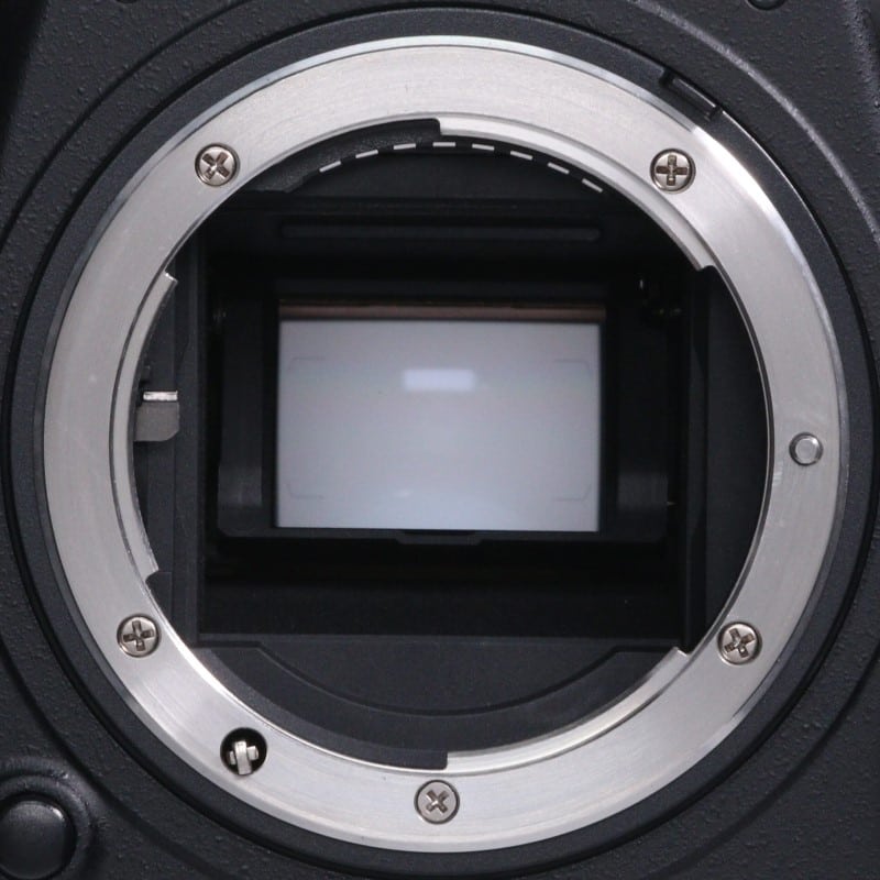 D500 ボディ