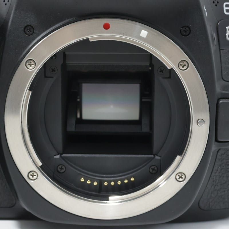 EOS 80D ボディー