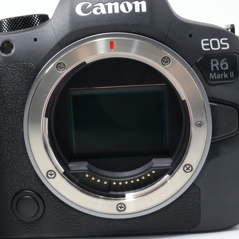 EOS R6 Mark II ボディー