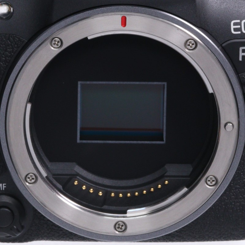 EOS R10