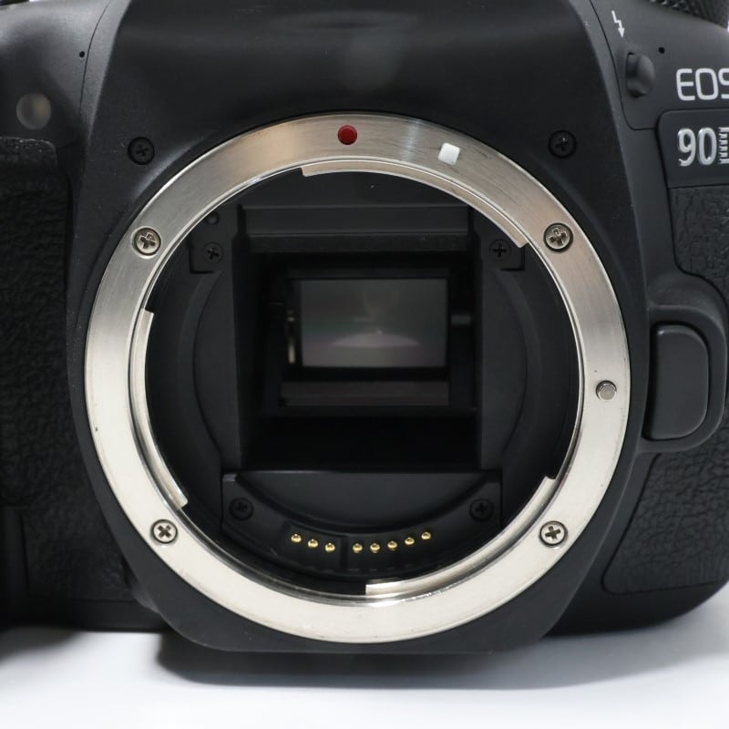EOS 90D ボディー