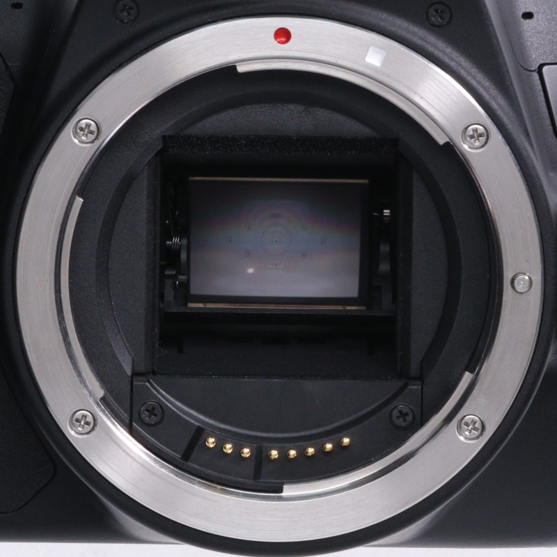 EOS Kiss X10 ボディー ブラック