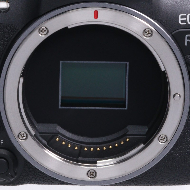 EOS R10