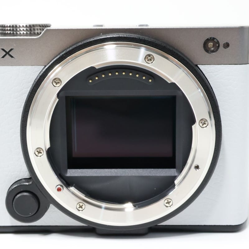 LUMIX S9 ボディ ダークシルバー DC-S9-S