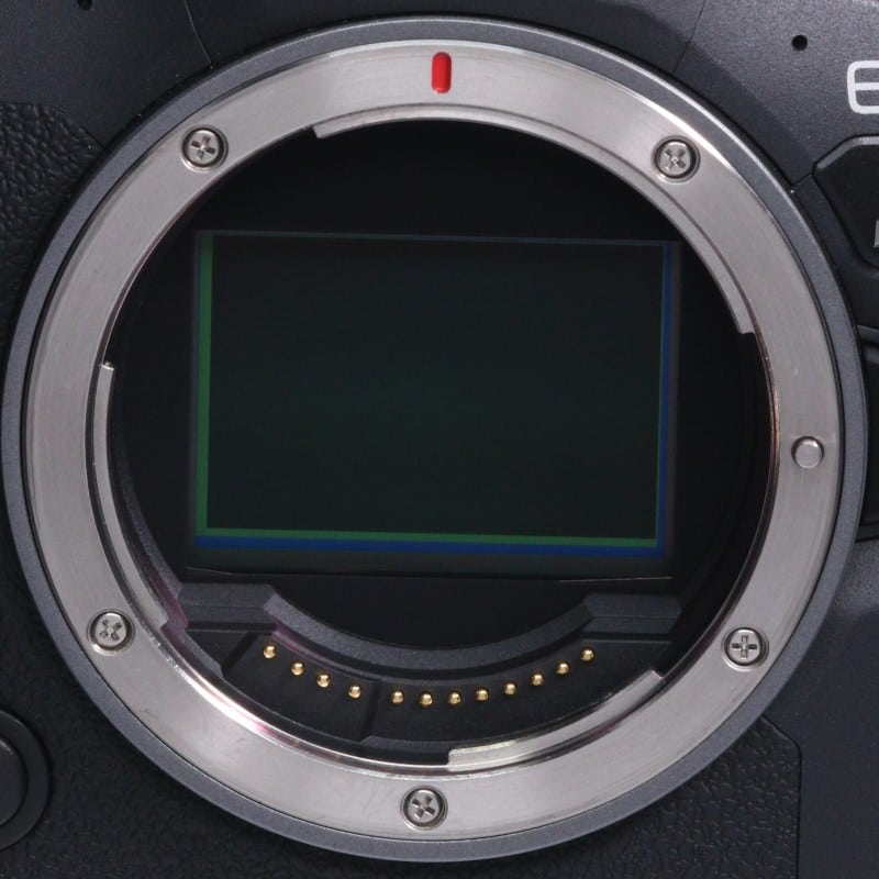 EOS R6 Mark II ボディー