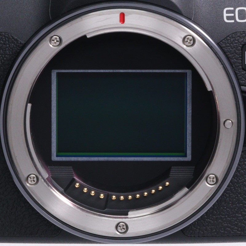 EOS R8 ボディー