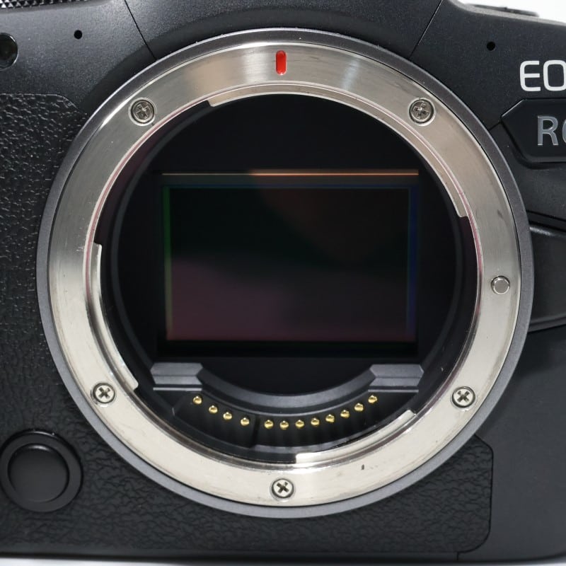 EOS R6 ボディー