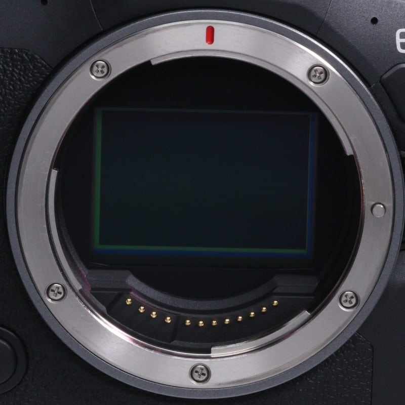 EOS R6 Mark II ボディー