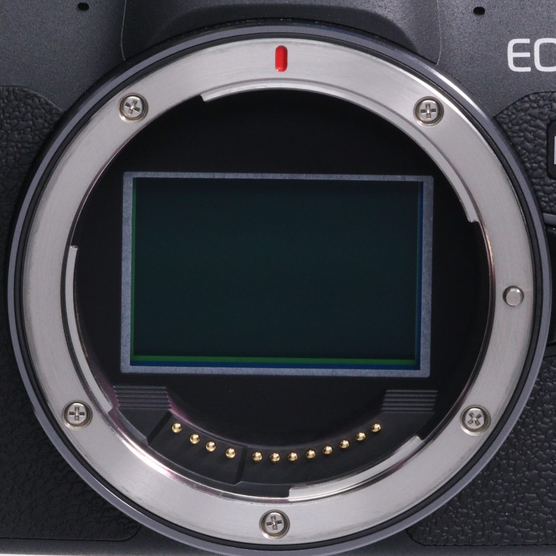 EOS R8 ボディー