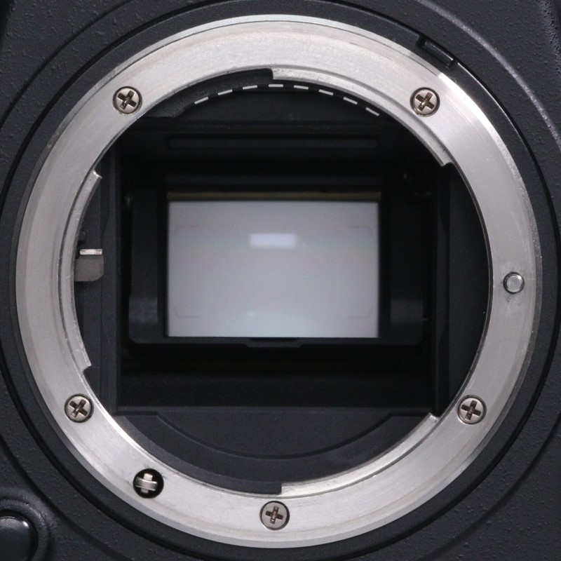 D500 ボディ