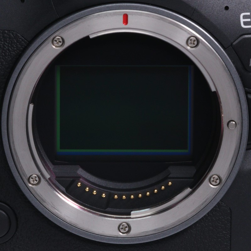 EOS R6 Mark II ボディー