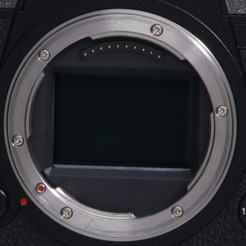 LUMIX DC-S1