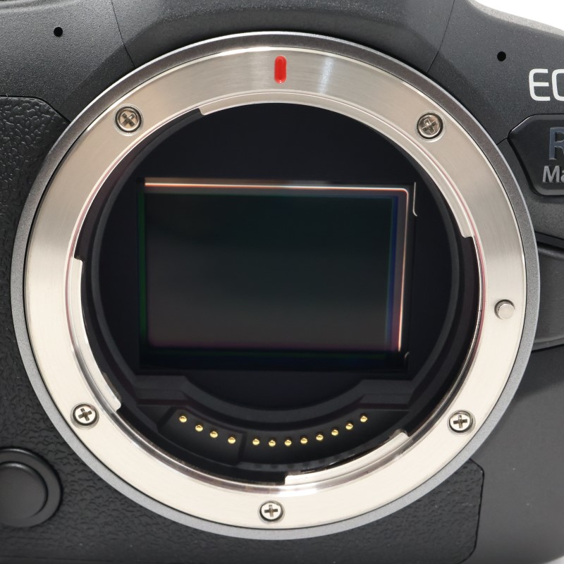 EOS R6 Mark II ボディー