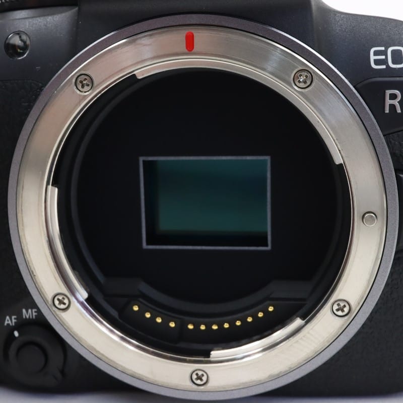 EOS R10 ボディー