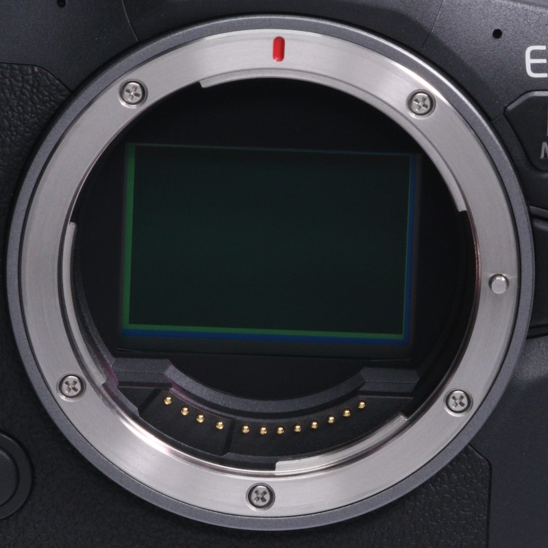 EOS R6 Mark II ボディー