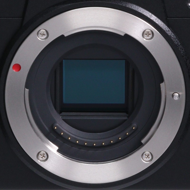 LUMIX G100 DC-G100 ボディ単体