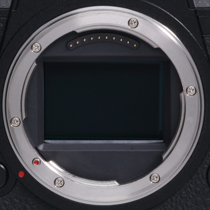 LUMIX DC-S1