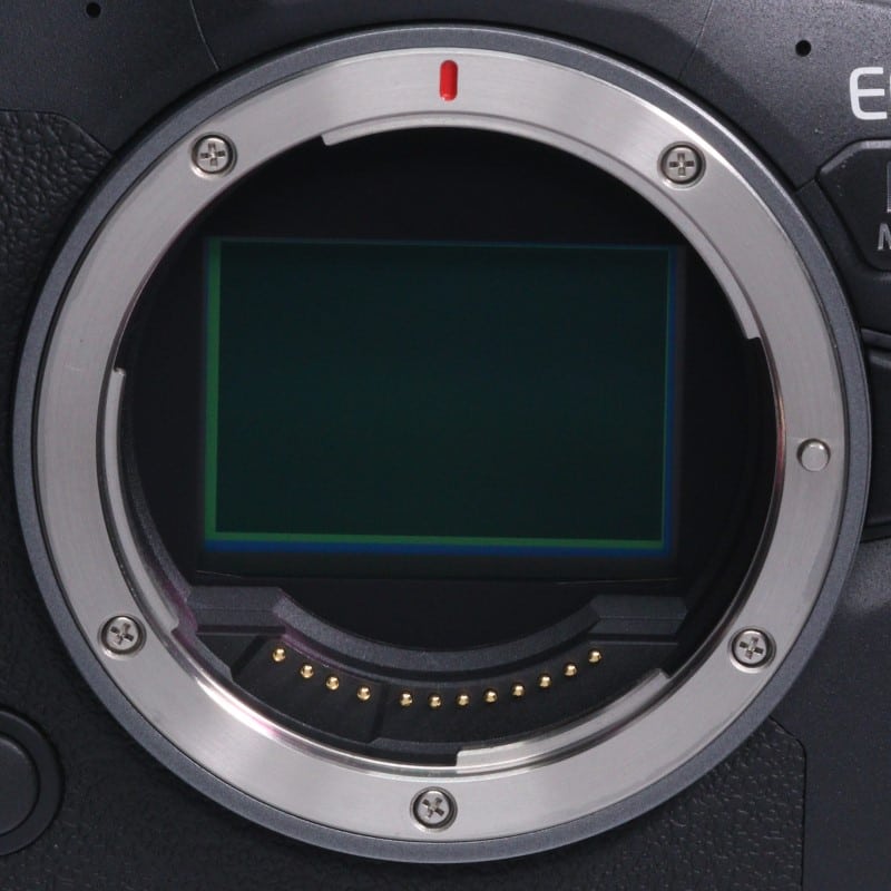 EOS R6 Mark II ボディー