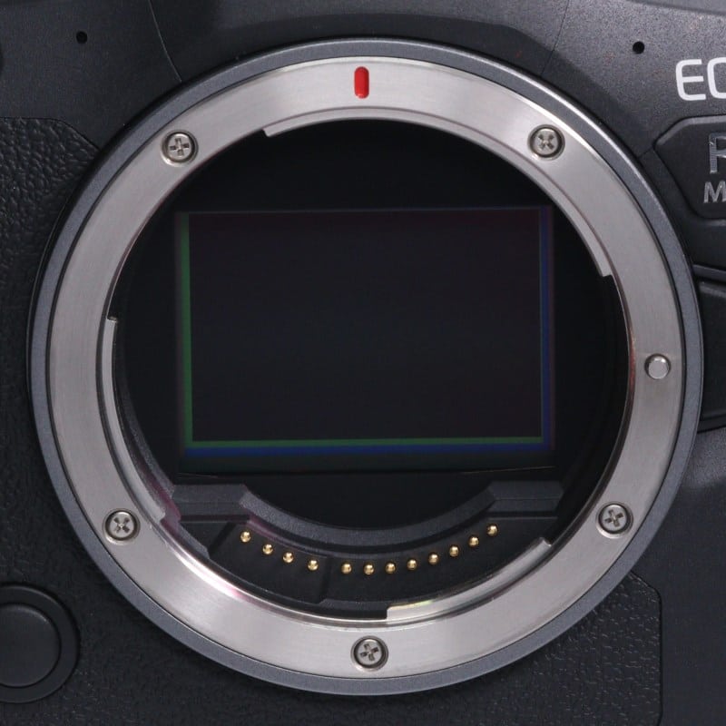 EOS R6 Mark II ボディー