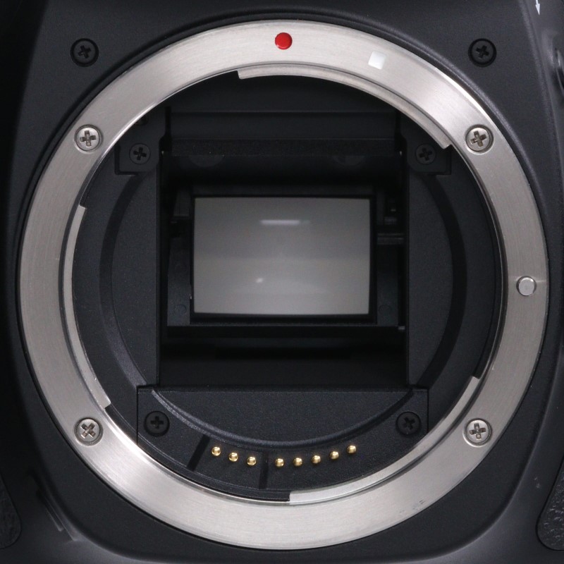 EOS 80D