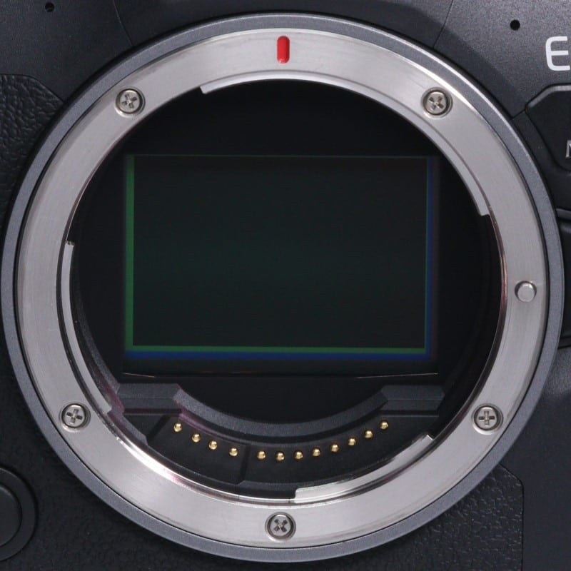 EOS R6 Mark II ボディー
