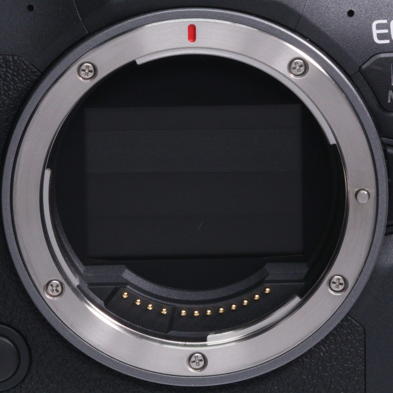 EOS R6 Mark II