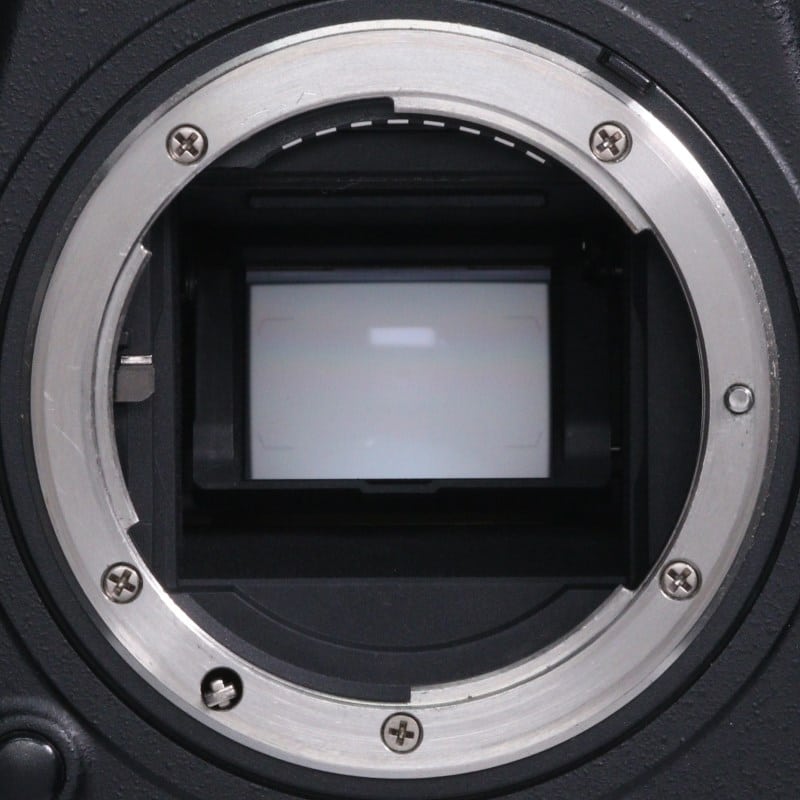 D500 ボディ
