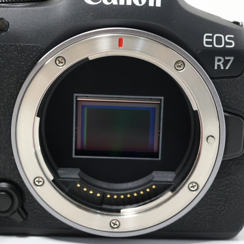 EOS R7 ボディー